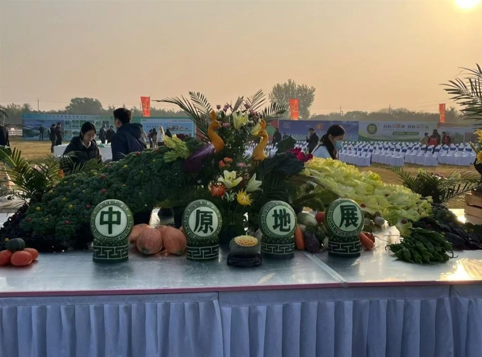 High-efficiency Seedling Cultivation Equipment factory