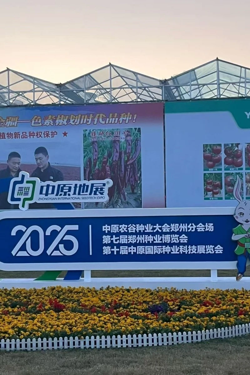 High-efficiency Seedling Cultivation Equipment suppliers